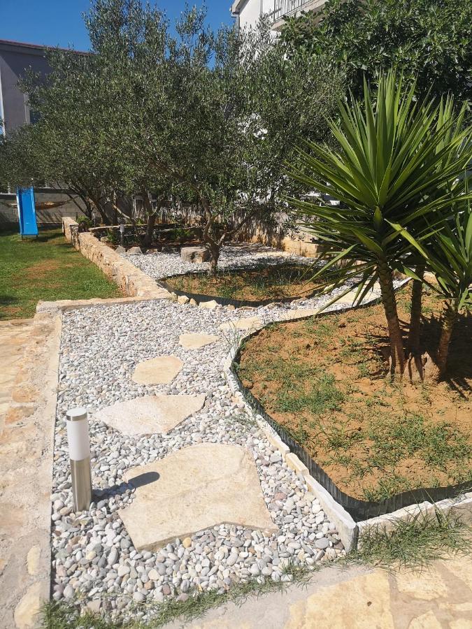 Apartment Olive Garden Zadar